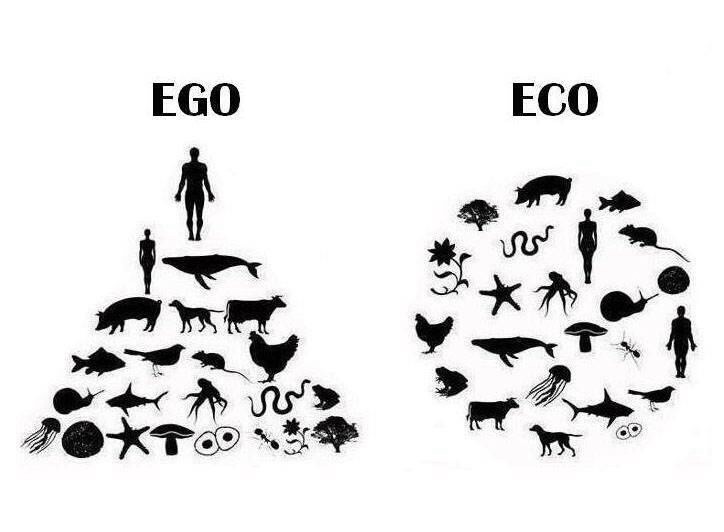 ego-versus-eco
